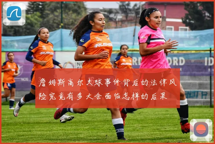 詹姆斯高尔夫球事件背后的法律风险究竟有多大会面临怎样的后果